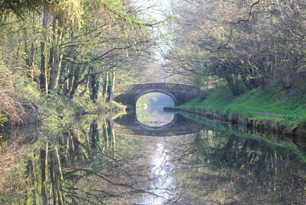 an image a bridge over the lancaster canal bordered by budding spring trees