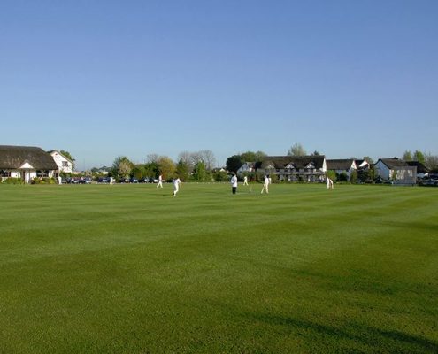 Guys Cricket